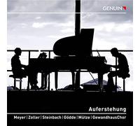 Auferstehung/Symphonie N 2/Trans pour Ensemble de Chambre
