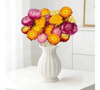 Aufisi Fleurs séchées, 20 Marguerites Multicolores avec tiges, pour Mariages, décoration de Maison et de Bureau