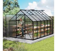 Aufun Serre de jardin en aluminium de qualité supérieure - 7,75 m² - Avec base de 6 cm et plaque PC de 4 mm - Résistant aux UV - Résistant aux intempéries - Pour le jardin - 310 x 250 x 205 cm