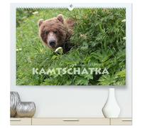 Aug in Aug mit den Braunbären in Kamtschatka (hochwertiger Premium Wandkalender 2026 DIN A2 quer), Kunstdruck in Hochglanz: Braunbären im Osten Russlands