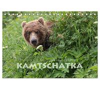 Aug in Aug mit den Braunbären in Kamtschatka (Tischkalender 2026 DIN A5 quer), CALVENDO Monatskalender: Braunbären im Osten Russlands