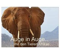 Auge in Auge mit den Tieren Afrikas (Wandkalender 2026 DIN A3 quer), CALVENDO Monatskalender: Große und kleine Tiere Afrikas ganz nah