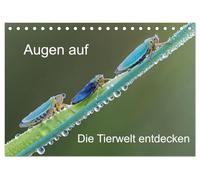 Augen auf - versteckte Tierwelt (Tischkalender 2026 DIN A5 quer), CALVENDO Monatskalender: Die Natur steckt voller Überraschungen.