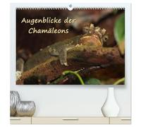 Augenblicke der Chamäleons (hochwertiger Premium Wandkalender 2026 DIN A2 quer), Kunstdruck in Hochglanz: Augenblicke aus dem Leben von Chamäleons