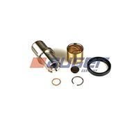 Auger 53187 Kit d'assemblage, pivot de fusée d'essieu