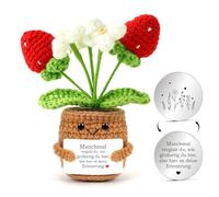 Augesak Pocket Hug Fleurs positives, pommes de terre positives allemandes au crochet de rechange + porte-bonheur, cadeau de muter, cadeau tricoté, pour petite amie, maman, femme, collègue, amis