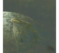 Moth And The Moon