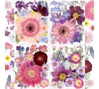 Augshy 92 Fleurs Séchées Pressées, Véritables Fleurs Séchées Naturelles pour Moules en Résine Violet Rose Pressé à Sec Floral Artisanat DIY, Scrapbooking, Fournitures en Résine Époxy