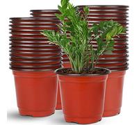 Augshy Lot de 110 pots en plastique de 15,2 cm pour semis succulents, coupe et transplantation