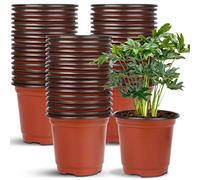 Augshy Lot de 40 Pots de semences en Plastique de 15,2 cm pour semis Succulents, Coupe, Transplantation