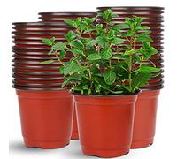 Augshy Lot de 75 pots de semences en plastique de 15,2 cm pour intérieur et extérieur