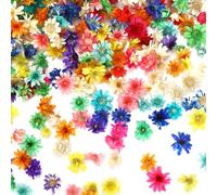 AUGSUN 420 Pcs Petites Fleurs Séchées pour l'Artisanat, Mini Fleurs Séchées Naturelles en Vrac pour DIY Nail Art, Fabrication de Bougies en Résine, Scrapbooking, Décoration Quotidienne de la Maison
