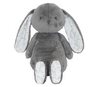 Augustin le Lapin - Rêve Etoilé