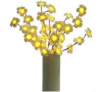 AugustknowU Phalaenopsis Lampe à LED avec 20 lumières blanches chaudes, éclairage décoratif alimenté par piles pour chambres, magasins et table à l'intérieur (E)
