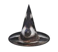 AUGUSTRUSH Chapeau de sorcière réglable pour homme et femme, chapeau d'Halloween en forme de petit raton laveur, accessoire de fête d'Halloween, casquette de magicien pointue pour cosplay, carnaval