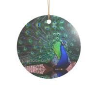 AUGUSTRUSH Décorations de Noël, beau paon, décoration à suspendre pour sapin avec ruban pour cheminée, fête, mariage, décorations d'hiver, acrylique incassable, rond et cœur
