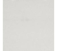 Auhagen 52411 Plaque Murale Lissée Blanche 1 Pièce 100 X 200mm HO NEU