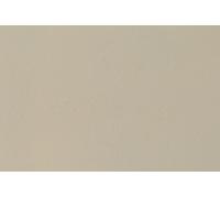 Auhagen 52442 Plaque De Mur Enduite Gris HO 100 X 200mm 1 Pièce NEU