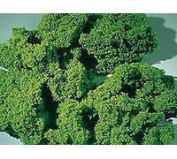 Auhagen 76976 Flocons De Mousse Vert Clair Moyen