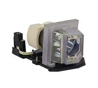 AuKing BL-FP190A Lampe Projecteur Ampoule pour OPTOMA SP.8TK01GC01 DAESNZZU DAEWSZG DS325 DW326e DX316 DX325 DX326 DX3246 H180X S300 W301 X300 X301