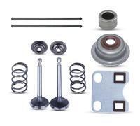 AUMEL Kit de Capuchon de Protection de Tige de Tige de Poussoir pour Plaque de soupape pour pièce de Moteur de Tondeuse à Gazon Honda GX160 GX200 5.5HP 6.5HP Remplacer 14791-ZE1-010.