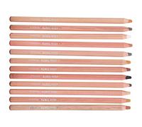 Aumotop Crayons Pastel Vibrants Peints à la Main, Ensemble D'outils de Dessin et de Croquis pour Artistes 12x17,3 Cm