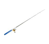 Aumotop Stylo de Poche Canne à Pêche Moulinet Ensemble combiné Mini Canne à Pêche Télescopique Portable et Kit de Moulinet pour les Amateurs, doré (Bleue)