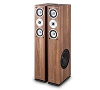 AUNA 501 FS WN - Enceinte Tour, Système 3 Voies, Woofer Basses 20cm, 140 W de Puissance RMS, Construction bassreflex, Enceintes passives, Contacts dorés, Noyer