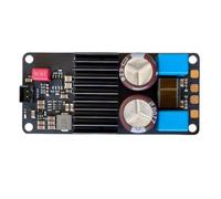Aundhegrtt Amplificateur de Puissance Numérique de Qualité Audiophile : Carte Amplificatrice Mono TPA3221 - Carte Amplificatrice de Haute Puissance Hi-FI
