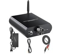 Aundhegrtt Amplificateur Mono Bluetooth 5.3 -T100W TPA3116 100W Mini Audio 12-24V Amplificateur Boost Prend en Charge Le Contrôle à Distance par APP Prise EU