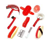 Aundhegrtt Kit de Pansage pour 10 Pièces Comprenant Brosses et Outils de Nettoyage, avec Sac de Transport