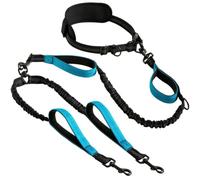 Aundhegrtt Laisse pour Chien Mains pour 2 Chiens - Réglable, Élastique, Laisse Double sans Enchevêtrement pour Courir et Marcher