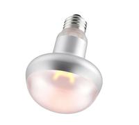 Aundhegrtt Lampe de Chauffage pour Reptiles, Spot de Chauffage Intense de 100W, Ampoule de Chaleur pour Reptiles, Ampoules de Lampe à Chaleur UVA 220v