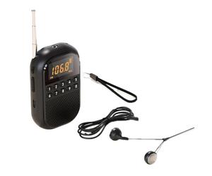 Aundhegrtt Mini Radio Pro-HD Qualité Sonore - Décodage Double Carte USB/SD - Design Portable pour Utilisation Extérieure - Recherche de Station par Navigation à Un