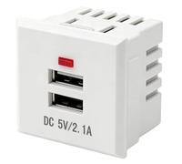 Aundhegrtt Prise USB avec Indicateur LED Module de Prise de Chargement USB Double Prise USB Intégrée Blanche