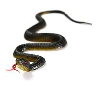 Aundhegrtt Serpent Jouet de 45 Cm, Serpent en Caoutchouc Réaliste, Faux Serpent Plus Vrai Que Nature pour Jardin, Cour, Chasse-Oiseaux, Farces de Fête