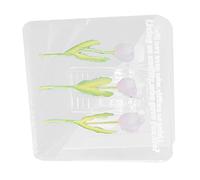 AUNMAS AUNMAS Clamp/Holder Photo Double Face en Acrylique Motif Tulipe, Forte Force de Serrage pour L'organisation, la Maison, le Bureau, la Chambre à Coucher, le café, le Magasin de Fleurs,