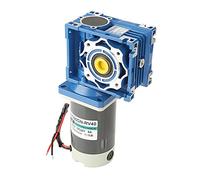 AUNMAS Engrenage de Moteur à Courant Continu CWCCW RV40 à Vis sans Fin 12 V 24 V Micro Réglable électrique Réversible, Autobloquant, Bobine de Cuivre pour Fenêtres, Ouvre-Porte, Mini Treuils