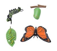 AUNMAS Ensemble de Scène Réaliste 4 Pièces Modèle de Cycle de Vie Papillon | Jouet éducatif, Plastique, Cours de Sciences Préscolaires, Apprentissage à Domicile, Enseignement en Classe, Histoires, Jeu