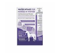 AUOQKQUT Cold Weather Horse Care Chart, Equine Hydration and Water Consumption Knowledge Poster for Stable Office Unframed,16x24inch(40x60cm)