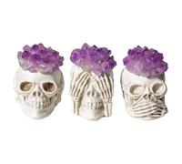 AUOQKQUT Three Wise Skull with Amethyst Crystal Flower - Decor for Home, Office, and Spiritual
