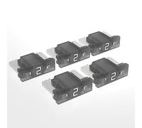 AUPROTEC Mini LP Fusibles à lame 2A - 30A fusible enfichable d'automobile choix : 2A ampère gris, 5 pcs