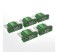 AUPROTEC Mini LP Fusibles à lame 2A - 30A fusible enfichable d'automobile choix : 30A ampère vert, 5 pcs