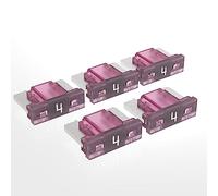 AUPROTEC Mini LP Fusibles à lame 2A - 30A fusible enfichable d'automobile choix : 4A ampère rose, 5 pcs