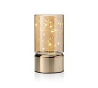 Auraglow Guirlande Micro LED Lanterne Cylindre Verre Petite, Piles Timer | Lueur chaude féerique dans un bocal décoratif, sans fil, pour cheminée, étagère, chambre et déco de Noël