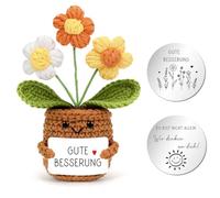 Aurasky Fleurs au crochet, bonne rétablissement, sac de poche allemand avec câlin, porte-bonheur, poupée de fleurs tricotée, cadeau pour ami, famille, collègues