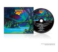 Yes – Aurora