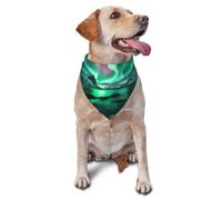 Aurora Borealis Écharpe triangulaire pour chiens et chats, bandana réglable pour animaux de compagnie et séances photo