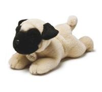 Aurora MiYoni Carlin G