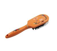 Aurore Beauté - Brosse à Cheveux Démêlante avec Poignée - Bouts Arrondis Doux - Démêle Tous les Types de Cheveux - Brosse Semi-Ovale - Fleurs et Oiseaux